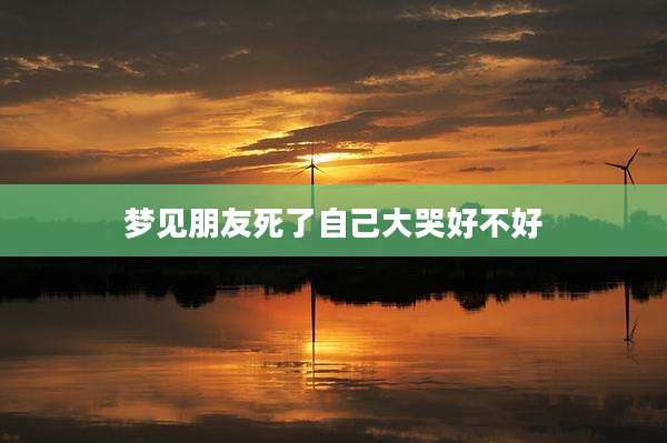 梦见朋友死了自己大哭好不好