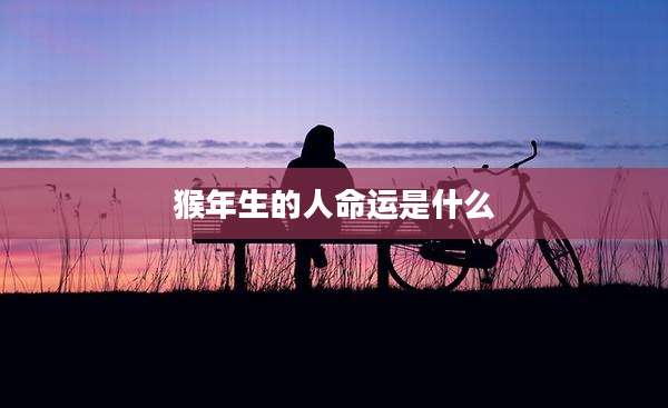 猴年生的人命运是什么