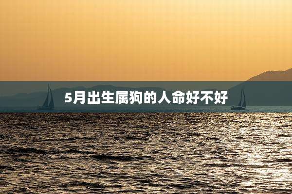 5月出生属狗的人命好不好