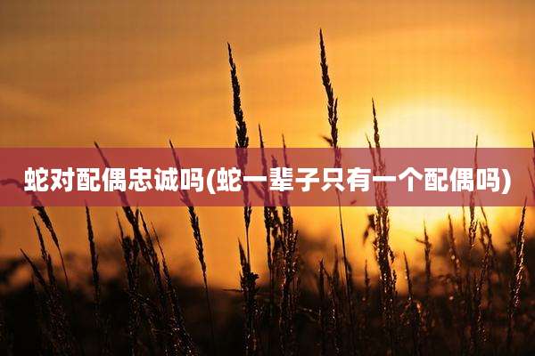蛇对配偶忠诚吗(蛇一辈子只有一个配偶吗)
