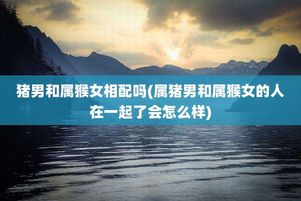 猪男和属猴女相配吗(属猪男和属猴女的人在一起了会怎么样)