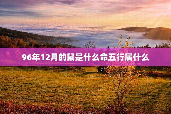 96年12月的鼠是什么命五行属什么