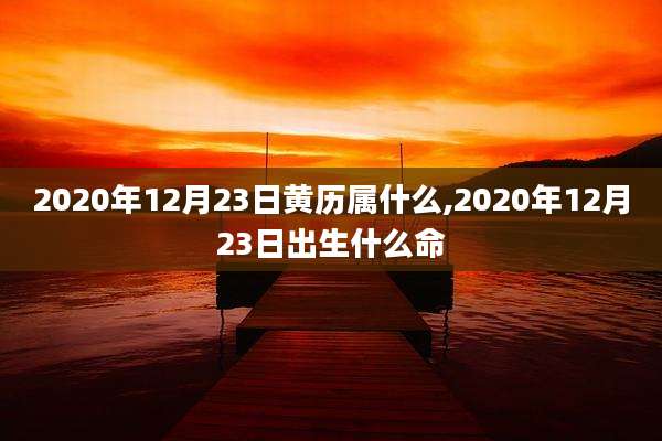 2020年12月23日黄历属什么,2020年12月23日出生什么命