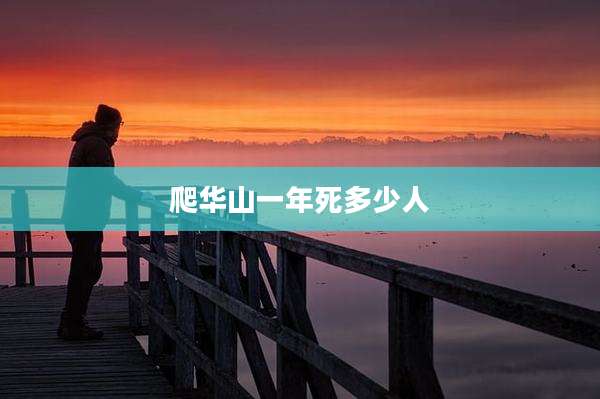 爬华山一年死多少人