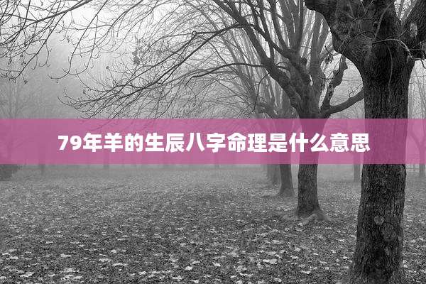 79年羊的生辰八字命理是什么意思