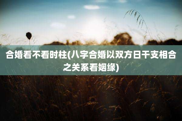 合婚看不看时柱(八字合婚以双方日干支相合之关系看姻缘)