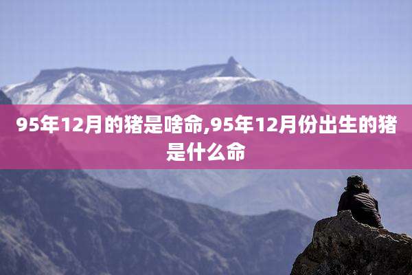 95年12月的猪是啥命,95年12月份出生的猪是什么命