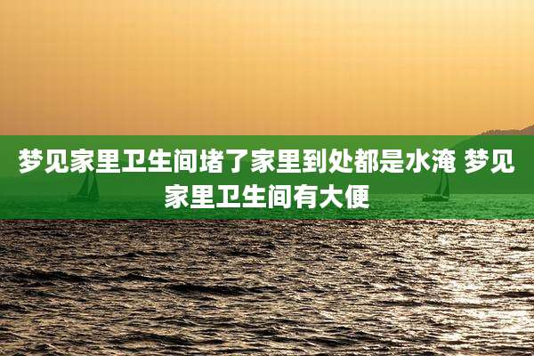 梦见家里卫生间堵了家里到处都是水淹 梦见家里卫生间有大便