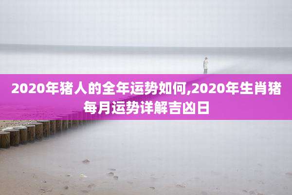 2020年猪人的全年运势如何,2020年生肖猪每月运势详解吉凶日