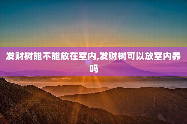 发财树能不能放在室内,发财树可以放室内养吗
