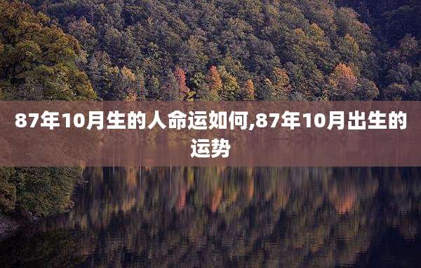 87年10月生的人命运如何,87年10月出生的运势