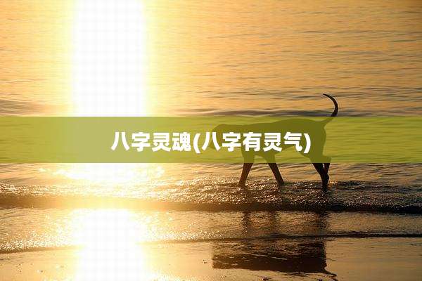 八字灵魂(八字有灵气)