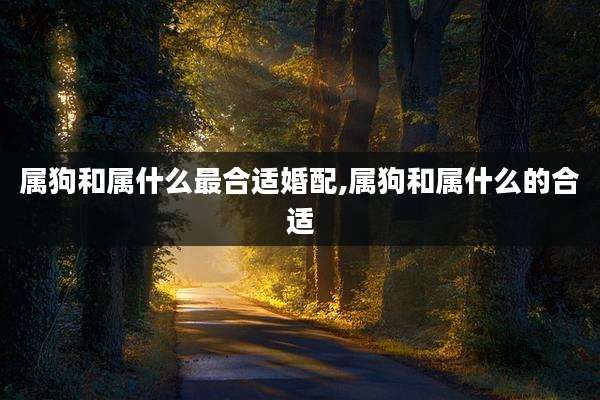 属狗和属什么最合适婚配,属狗和属什么的合适