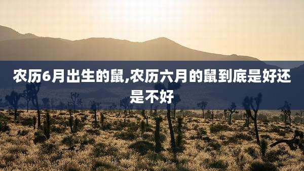农历6月出生的鼠,农历六月的鼠到底是好还是不好