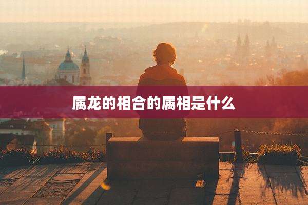 属龙的相合的属相是什么