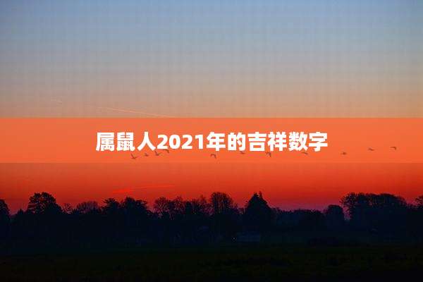 属鼠人2021年的吉祥数字