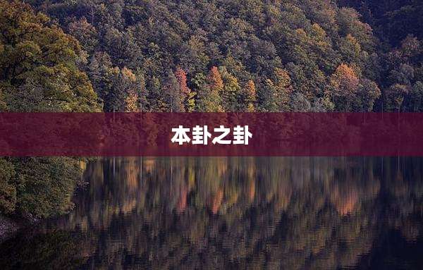 本卦之卦