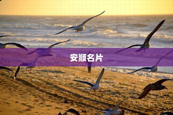安顺名片