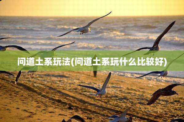 问道土系玩法(问道土系玩什么比较好)