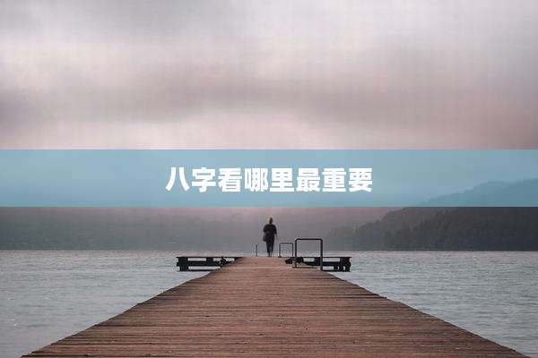 八字看哪里最重要