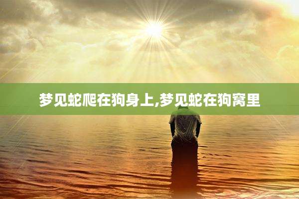 梦见蛇爬在狗身上,梦见蛇在狗窝里