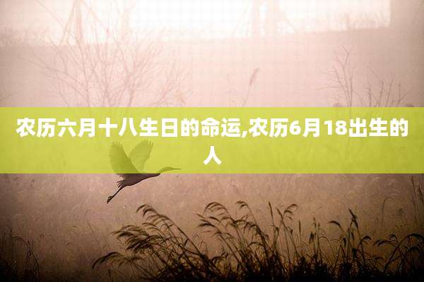 农历六月十八生日的命运,农历6月18出生的人