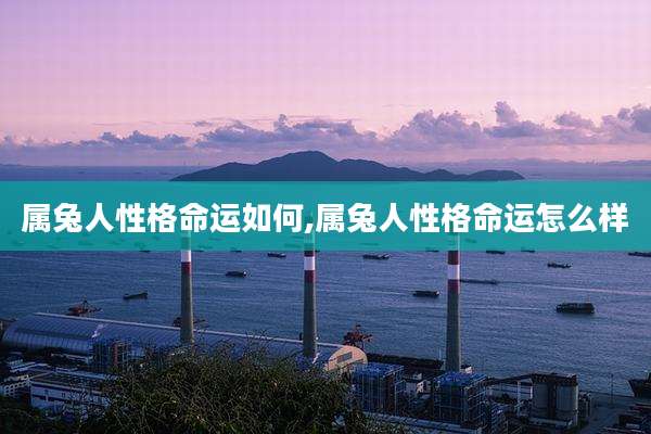 属兔人性格命运如何,属兔人性格命运怎么样