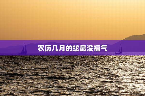 农历几月的蛇最没福气