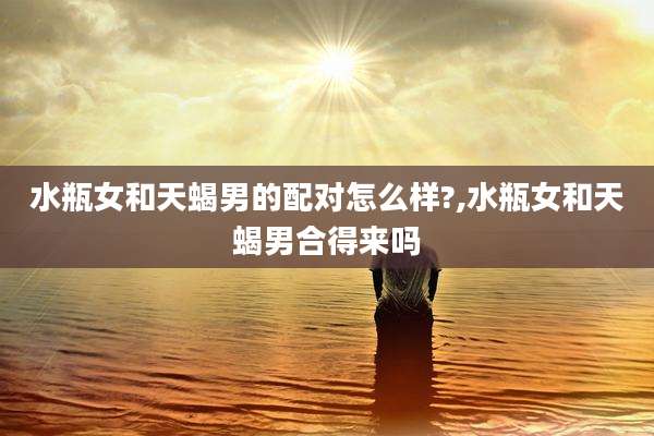 水瓶女和天蝎男的配对怎么样?,水瓶女和天蝎男合得来吗