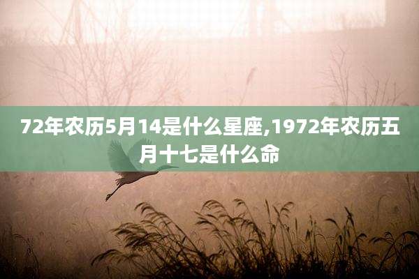 72年农历5月14是什么星座,1972年农历五月十七是什么命