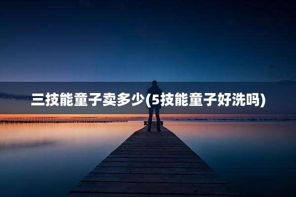 三技能童子卖多少(5技能童子好洗吗)