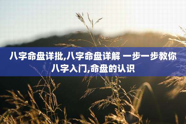 八字命盘详批,八字命盘详解 一步一步教你八字入门,命盘的认识