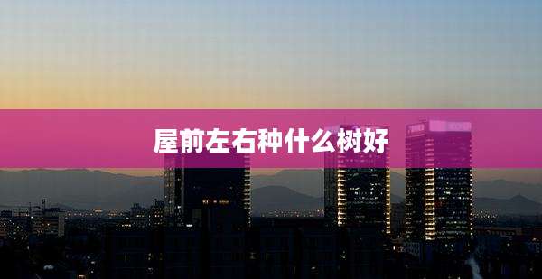 屋前左右种什么树好