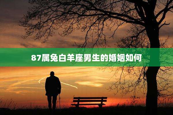 87属兔白羊座男生的婚姻如何