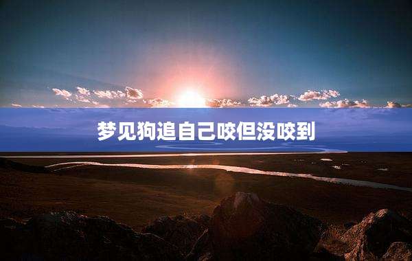 梦见狗追自己咬但没咬到