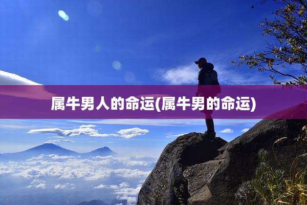 属牛男人的命运(属牛男的命运)