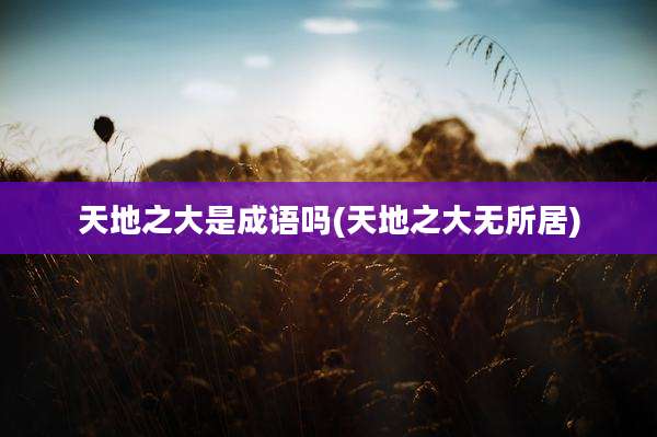 天地之大是成语吗(天地之大无所居)
