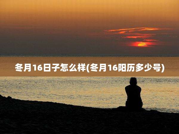 冬月16日子怎么样(冬月16阳历多少号)