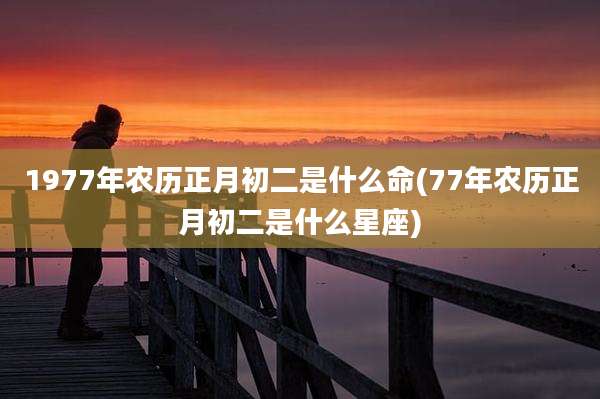 1977年农历正月初二是什么命(77年农历正月初二是什么星座)