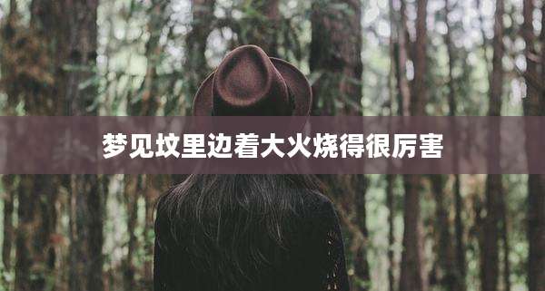 梦见坟里边着大火烧得很厉害