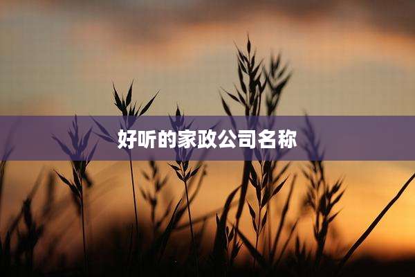 好听的家政公司名称