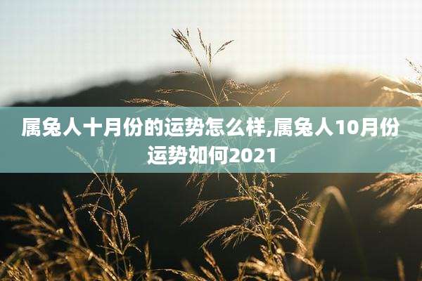 属兔人十月份的运势怎么样,属兔人10月份运势如何2021