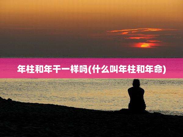 年柱和年干一样吗(什么叫年柱和年命)