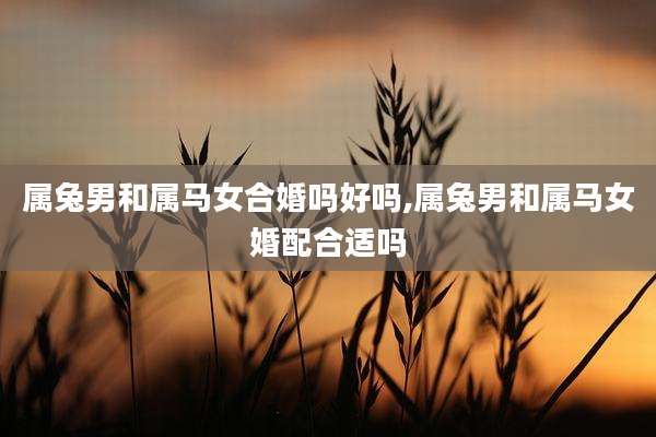 属兔男和属马女合婚吗好吗,属兔男和属马女婚配合适吗