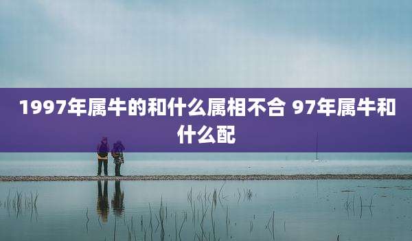 1997年属牛的和什么属相不合 97年属牛和什么配