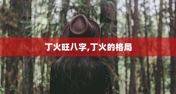 丁火旺八字,丁火的格局