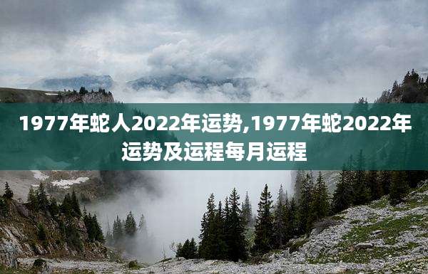 1977年蛇人2022年运势,1977年蛇2022年运势及运程每月运程