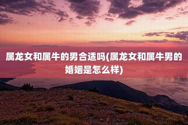 属龙女和属牛的男合适吗(属龙女和属牛男的婚姻是怎么样)