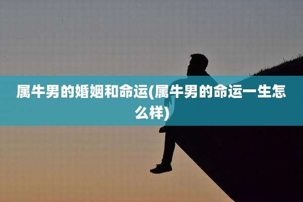 属牛男的婚姻和命运(属牛男的命运一生怎么样)