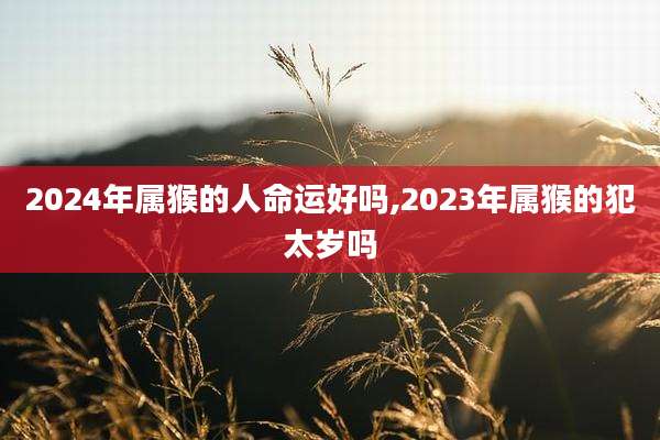 2024年属猴的人命运好吗,2023年属猴的犯太岁吗